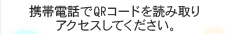 携帯電話アクセス